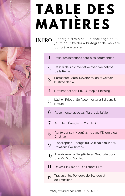 24 Fiches Pratique Je suis Zen - Des conseils, astuces et habitudes pour utiliser votre énergie féminine et transformer votre quotidien